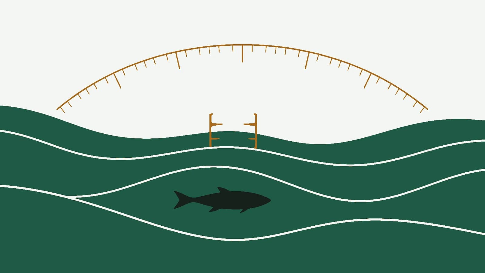 Illustrazione grafica minimale: onde verde bottiglia con la sagoma di un pesce e un arco graduato color ambra sopra l'acqua